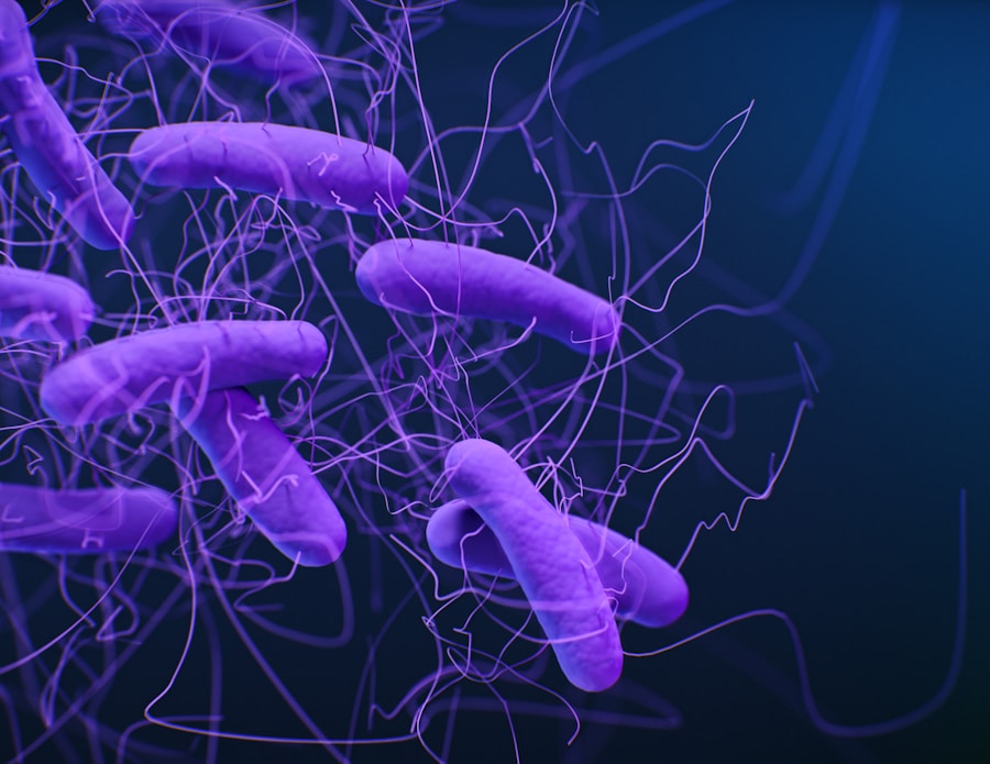 Photo "Why Microbiome Diversity Might Be the Key to Preventing Chronic Disease"