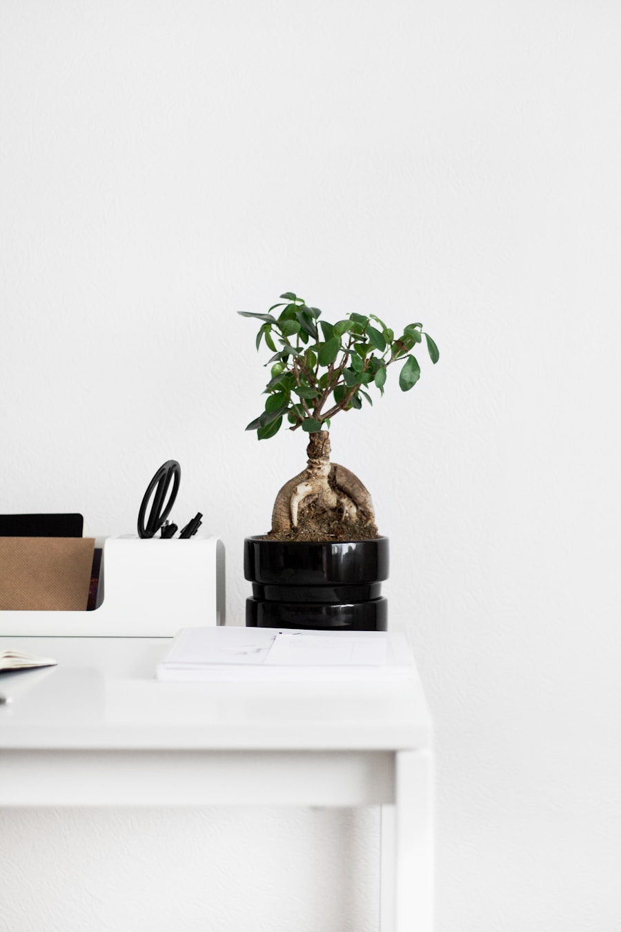 Photo Minimalist Living: Tips to Declutter Your Space and Mind